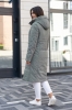 Женское демисезонное пальто Nord Wind 981